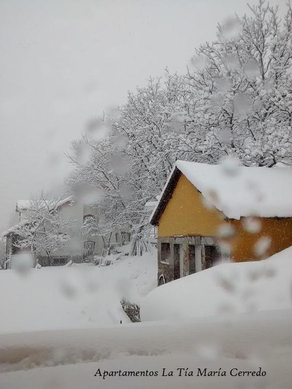 Tia Maria Panzió Cerredo Kültér fotó